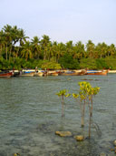 อาทิตย์ตก หาดโล๊กจาก เกาะยาวใหญ่ อ.เกาะยาว จ.พังงา